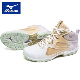 MIZUNO ミズノ メンズ レディース フィットネスシューズ ウエーブダイバース LG4 Ltd WAVE DIVERSE LG 4Ltd K1GF2475