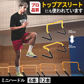 [プロ使用] ミニハードル 収納ケース付 6本セット/12本セット トレーニング ESTH-030 持ち運び便利 陸上 サッカー バスケ フットサル 野球 テニス 練習 敏捷性強化 ソフト 軽量 犬 子ども リーディングエッジ LEADING EDGE
