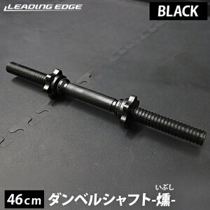 10/4`10/10 ő6,000~OFFN[|_xVtg 42cm/46cm Vo[/ubN e LE-DS46L LE-DS42 BK SV LEADING EDGE [fBOGbW