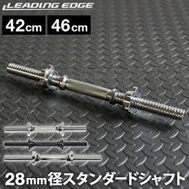 ★8/4〜8/11 最大6,000円OFFクーポン★ダンベルシャフト 42cm/46cm シルバー/ブラック 各種 LE-DS46L LE-DS42 BK SV LEADING EDGE リーディングエッジ