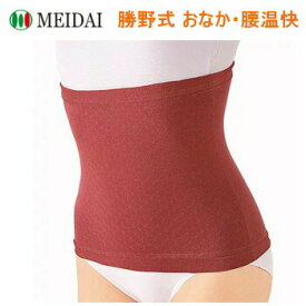 楽天市場 あずき カイロ 腰の通販