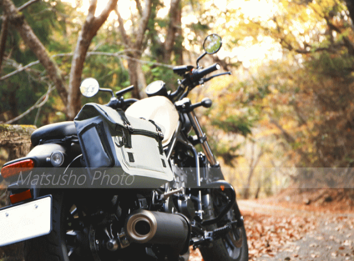 楽天市場】DOPPELGANGER バイク用 バッグ サドルバッグ