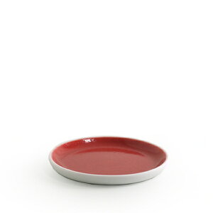 yLc z1616/arita japan S&Btbgv[gXSiCbhjyH C`NC`NA^Wp S&Bflatplate Ve&o[COX Scz