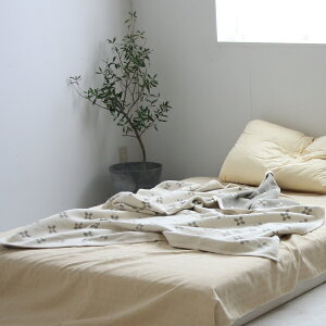 y}\N[|zyK戵XzKLIPPAN Nbp RbgVOuPbg V[Xh(SIZE:140cm×180cm/GN) KP891320yI[KjbNRbg Mtg 唻 Q \t@[