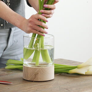 LSA LOTTA VASE&ASH BASE TLA2081�y�G���G�X�G�[ ���b�^�x�[�X&�A�b�V���x�[�X �N���A ���[ �L�b�`�� SNS�f��0612�z