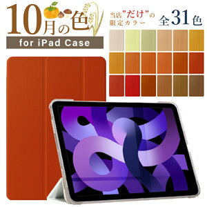 yV^ iPad 11 A16 ΉzyfUCP[XzIׂS31F 11C` iPad Air P[X M3 M2 iPad 10 P[X 10.9C` Air6 mini A17 Pro mini7 mini6 Air5 pro11 ipad P[X 9 10.2C` ipad air13 p