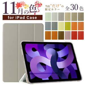 yV^ iPad 11 A16 ΉzyfUCP[XzS30F 11C` iPad Air P[X M3 M2 iPad 10 P[X 10.9C` Air6 mini A17 Pro mini7 mini6 Air5 air4 pro11 ipad P[X 9 10.2C` ipad air13 pro13