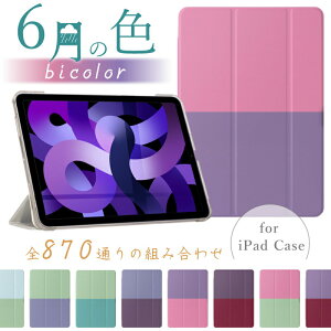 yV^ iPad 11 A16 ΉzyfUCP[Xz870ʂ̑gݍ킹 11C` iPad Air P[X M3 M2 iPad 10 P[X 10.9C` Air6 mini A17 Pro mini7 mini6 Air5 pro11 ipad P[X 9 10.2C` ip