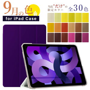 yV^ iPad 11 A16 ΉzyfUCP[XzS30F 11C` iPad Air P[X M3 M2 iPad 10 P[X 10.9C` Air6 mini A17 Pro mini7 mini6 Air5 pro11 ipad P[X 9 10.2C` ipad air13 pro13 pro1