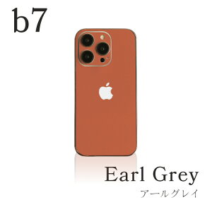 JtFJ[ iPhone XLV[ یtB Google Pixel wʃtB Jo[ iPhone17 16e 16 Pro Max Plus 15 14 13 12 11 SE3 SE2 ݃J[ n Vv jAXJ[   I