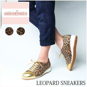 yAEgbgzIp[h {vXj[J[ { 23cm 3E {v Xj[J[ fB[X RC x[WI wlC qE Aj} S[h [XAbv q[Xj[J[ IW 