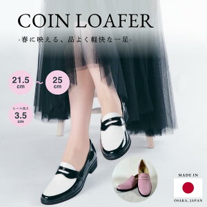 {v RC[t@[ { 3E L EhgD fB[X C 21.5cm`25cm TCY 傫TCY _炩 ₷ ɂȂ 3.5cmq[ [q[ ʋ tH[} ubN s
