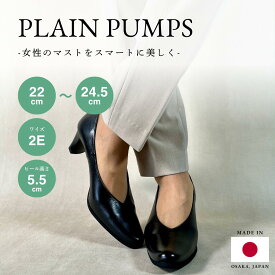 プレーン パンプス 日本製 本革 痛くない 歩きやすい 柔らかい ポインテッドトゥ 2E 22cm 24.5cm 5.5cmヒール 大きいサイズ 小さいサイズ 美脚 定番 ローヒール ビジネス 通勤 シンプル ブラック フォーマル 婦人靴 レディース
