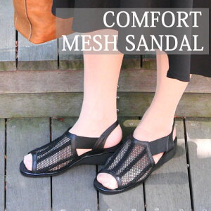 RtH[g bV T_ { {v ₷ ɂȂ y ɂ 3E 3.5cmq[ EȒP tBbg Xgbv [q[  i ꂢ JWA  X