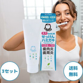シャボン玉 歯磨き粉 薬用 せっけんハミガキ 80g 3セット シャボン玉石けん 歯磨き 歯磨き粉 塩 シャボン玉石けん歯磨き 歯周炎 歯周病 医薬部外品 フッ素なし 医薬部外品 デンタルケア オーラルケア シャボン玉石鹸 合成香料 防腐剤 着色料 不使用