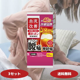 血流改善 腰ホットン 16時間 10枚入 3個 8個セット 腰 温める 腰痛 医療機器 温熱シート 衣類に貼るタイプ カイロ 低温カイロ 貼るカイロ 使い捨て 冷え対策