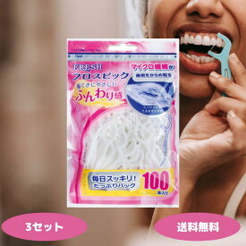 デンタルプロ フレッシュ フロスピック 100本 フロス 歯間ブラシ 歯間フロス オーラルケア 虫歯対策 歯間清掃 歯垢取り 口臭ケア デンタルフロス FRESH フロスピック100P
