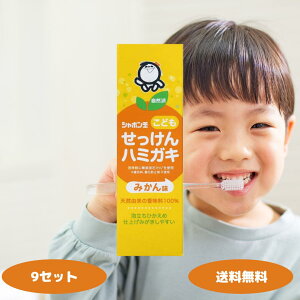 V{ʂǂn~KL 50g V{ʐ΂ ݂͂  \h ݂ n~KL  h F sgp I[PA 򕔊Oi f^PA