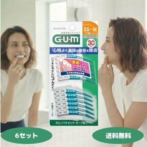 GUM �K�� �t���X �����v���P�A �\�t�g�s�b�N �J�[�u�^ 30�� SS~M�T�C�Y �T���X�^�[ �t���X GUM �t���X �I�[�����P�A �f���^���P�A ���ԃu���V �K���E�\�t�g�s�b�N �J�[�u�^ 30P