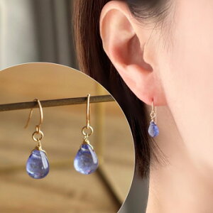 ^UiCg v[ sAX tbN VR  u[  S[h K14GF Vv l JWA ꗱ  D 12a