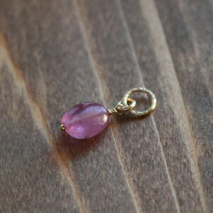 sNTt@CA `[ K14GF VR sN S[h Vv l JWA ꗱ  