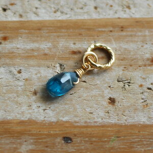 �C���f�B�S�u���[ �J�C���i�C�g �~�j �`���[�� K14GF �� �u���[ �s�A�X�`���[�� �y���_���g�g�b�v �l�b�N���X�g�b�v