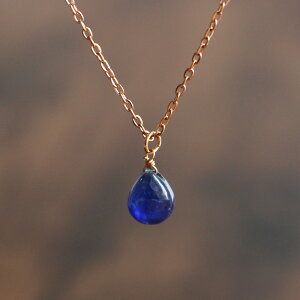 u[Tt@CA lbNX y_g 9a VR WG[ fB[X Vv i l AM[Ή T[WJXeX av[g Mtg ւ̂J