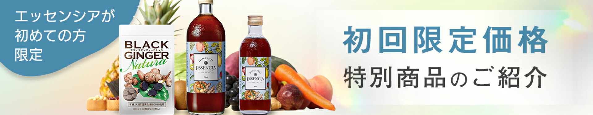 初回限定価格特別商品のご紹介