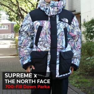 yD]ɂԉ ʌʉiz Vi Vv[ SUPREME x U m[XtFCX THE NORTH FACE 700-Fill Down Parka _E WPbg MULTICOLOR DRAGON Y