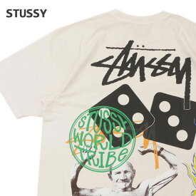 【本物・正規品】 新品 ステューシー STUSSY STRIKE PIG DYED TEE ピグメント ダイ Tシャツ メンズ 新作