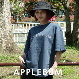 【本物・正規品】 新品 アップルバム APPLEBUM Logo T-shirt ロゴ Tシャツ BLUE GREY メンズ