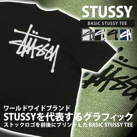【本物・正規品】 新品 ステューシー STUSSY BASIC STUSSY TEE Tシャツ メンズ レディース スケート ストリート エイトボール ストックロゴ 新作