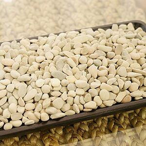 観葉植物 砂利の人気商品 通販 価格比較 価格 Com