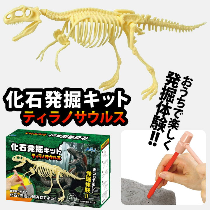 楽天市場】【3980円以上で送料無料】化石発掘キット 化石発掘体験 