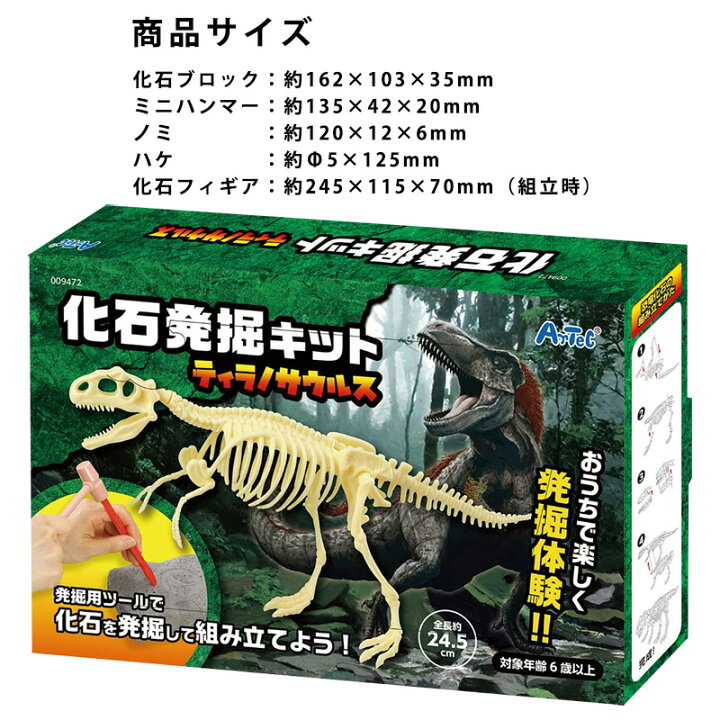 楽天市場】【3980円以上で送料無料】化石発掘キット 化石発掘体験 