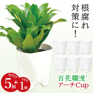  Aؔ 5+1Zbg 6 Sࣖ A[`Jbv ȒP Aւ v^[ | |pi _ h~ ϗtA K[fjO  t[AWg AW CAEg グ