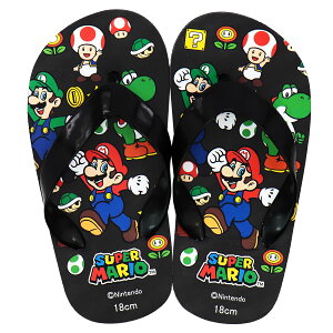 X[p[}I r[`T_ j̎q 18cm 20cm bV[ Nbp C[W ACe wZ w r[T v[pT_ LN^[ C v[ C T_   ubN 