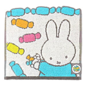 ~btB[ nJ` ~j^I R hL miffy ^InJ` nJ`^I ObY fB[X l 킢  傫 LN^[   25×25cm LbY q fBbN