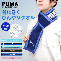 楽天市場】保冷剤 首（タオル｜日用品雑貨・文房具・手芸）の通販 