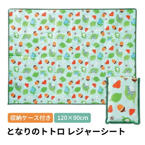 W[V[g q  gg 2lp 3lp 120×90cm LbY t@~[ Wu 傫 P[Xt LN^[  ~ sy ^ y RpNg 킢 j̎q ̎q sNj