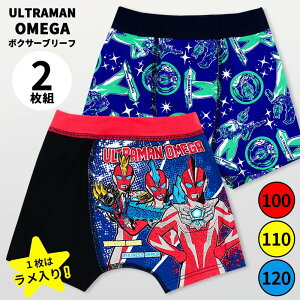 Eg}IK {NT[u[t ؔ {NT[pc j̎q 2Zbg 2g 100 110 120 O Eg} v~A  {̖100 l[^O O O LbY q