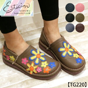 y󒍐Ypy[WzEstacion`GX^VI`Et[Xg[Xb|ycp-tg220z