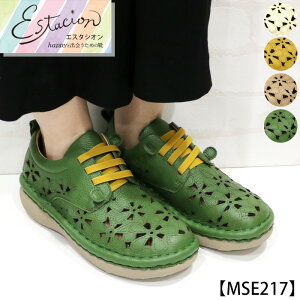 yzEstacion`GX^VI`Et[JbgfUC{vXj[J[ymse217z