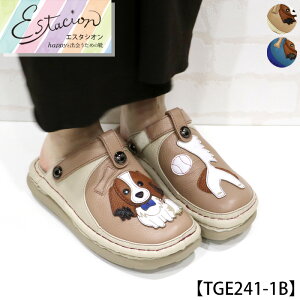 y󒍐Ypy[WzEstacion`GX^VI`E񃂃`[t2way{vT{V[Yycp-tge241-1bz