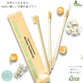 【送料無料 25本セット】ESTCO. 竹歯ブラシ ヘッド小さめ BPAフリー 防カビ 極細毛 バンブー エコ活 竹ハブラシ キャンプ 防災グッズ 備蓄 歯ブラシ 使い捨て