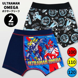 Eg}IK {NT[pc {NT[u[t j̎q 2Zbg 2g 100 110 120 O LN^[ Eg} pc  Ci[ Lt l[^O O O