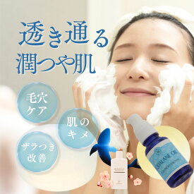 目元ほうれい線専用 コフレ トライアルキット スクワランオイル セット 洗顔石鹸 オーガニック 洗顔 レチノール化粧品 福袋 スキンケア 美容オイル エイジングケア 乾燥肌 敏感肌 乾燥対策 スキンケアセット 毛穴ケア 人気 美容 2025 コフレ ビタミンA EGF