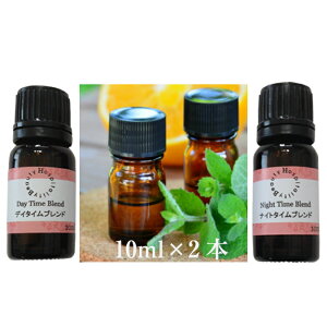 YŌR~̃A}IC  p EpA}i^Cvje10mLyV   [ ݌ɂ @ @ @  v[g  2025 Rt Mtg LO lC yV M