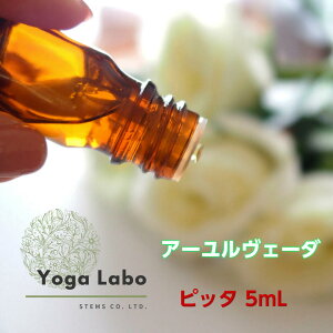 �s�b�^ ���� ��� �@ ���� �@ �@ ���� �v���[���g ���� 2025 �R�t�� �M�t�g �����L���O �l�C �y�V �M�t�g �����L���O �l�C �y�V �V�����N���X�}�X�M�t�g ���� 2025