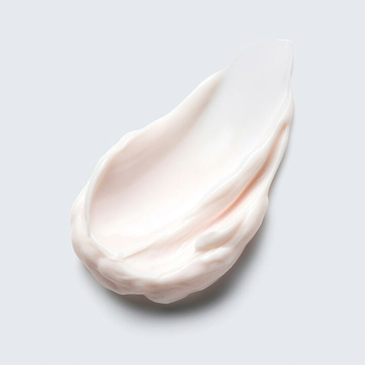 楽天市場】【P5倍 4/29 0:00〜5/7 1:59】エスティ ローダー  